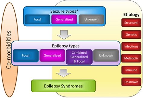 ilae epilepsy